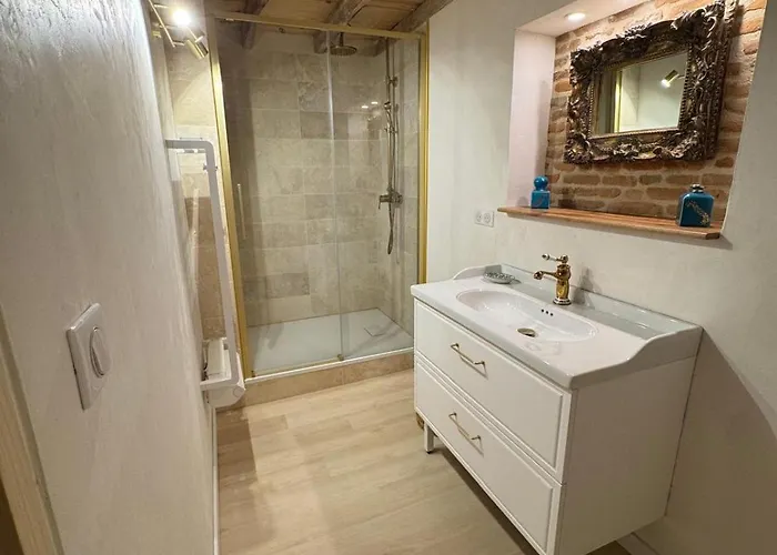 Chic & Nature - Domaine Du Verdier, Lauragais Lägenhet Cintegabelle