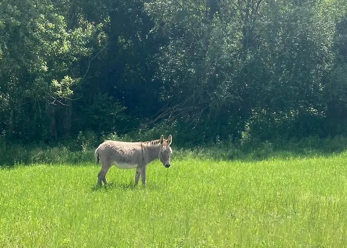 Chic & Nature - Domaine Du Verdier, Lauragais Cintegabelle
