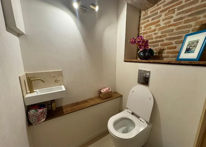 Chic & Nature - Domaine Du Verdier, Lauragais Lägenhet